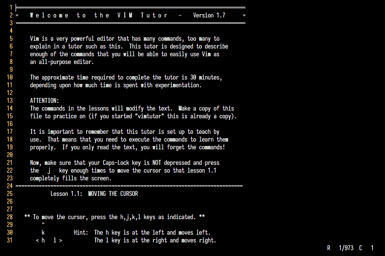 The vimtutor screen.